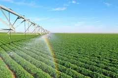 gida-irrigation